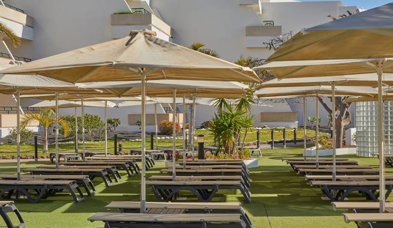 Barracuda Rows of tan sun loungers and large cream-colored patio umbrellas on a green lawn at Dreams Lanzarote Playa Dorada Resort & Spa by Kenwood Travel