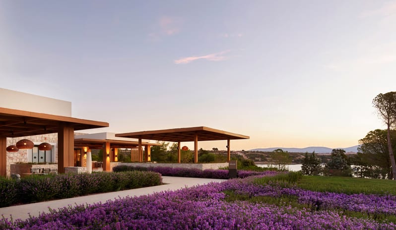 Mansion Restaurant International Kitchen pathway bordered by lush purple flowering shrubs and lavender, leading toward modern wooden pavilions and a coastal view at sunset. at Anda Barut Collection by Kenwood Travel