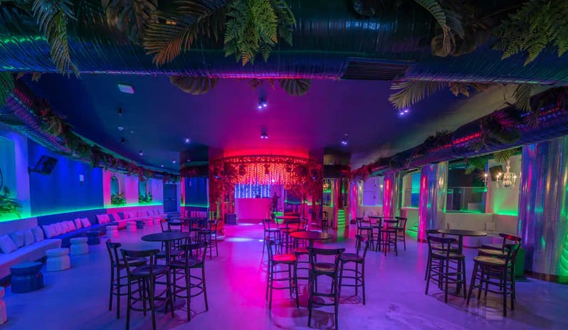 Disco Bar vibrant purple and blue neon lighting, high-top bar tables, and tropical leaf decorations on the ceiling at Liberty Fabay by Kenwood Travel
