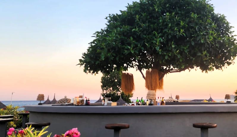 Bay View Terrace Bar large manicured tree in the center, bar stools, and pink flowers in the foreground against a sunset sky over the Mediterranean Sea at Hilton Dalaman Sarigerme Resort & Golf by Kenwood Travel