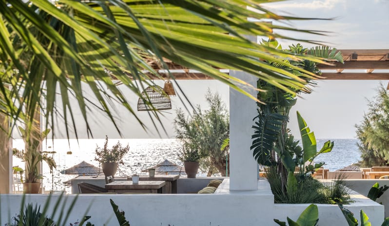 Tavernaki white stone architecture, lush palm leaves, and wooden tables overlooking the Aegean Sea at sunset at Grecotel LUXME Dama Dama by Kenwood Travel