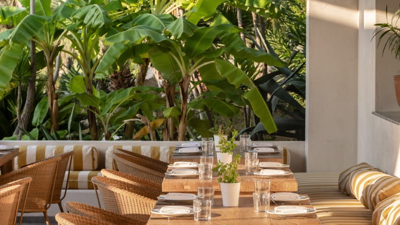 Creperie - Gelateria featuring wooden tables, wicker chairs, and lush banana palm trees at Grecotel LUXME Dama Dama by Kenwood Travel