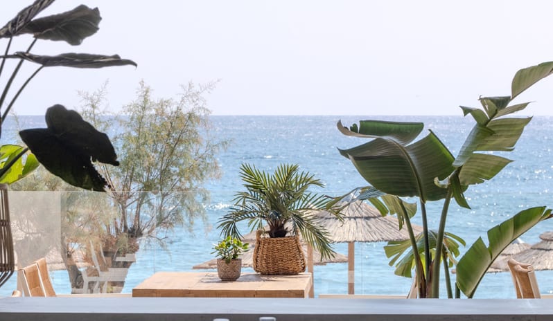 Beach Club various liquor bottles in the foreground and a sun-drenched Aegean Sea view with palm plants and beach umbrellas in the backgroundat Grecotel LUXME Dama Dama by Kenwood Travel