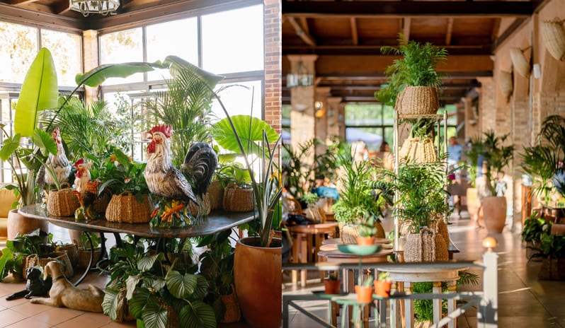 Mediterranea lush green tropical plants, woven baskets, and rustic rooster statues under a wooden ceiling at Grecotel LUXME Costa Botanica by Kenwood Travel