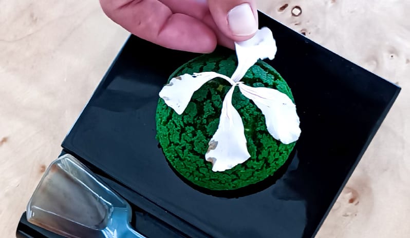 Asiana A hand delicately placing a white flower petal garnish onto a vibrant green gourmet pastry, served on a modern black plate with a small spoon at Grecotel LUXME Costa Botanica by Kenwood Travel