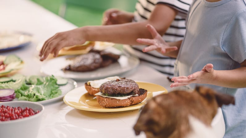 Aqua Park Snacks Family-friendly dining and kids' gastronomy options at Grecotel LUXME Costa Botanica by Kenwood Travel