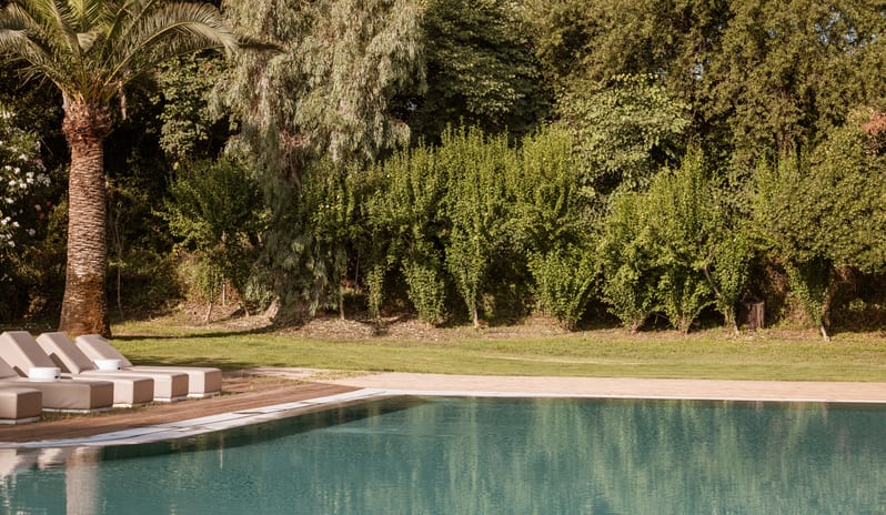 Country Studio at Yuccas Residence sharing Pool Sun loungers lined up beside a sparkling blue resort pool, framed by a palm tree and a dense background of green foliage at Grecotel LUXME Costa Botanica by Kenwood Travel