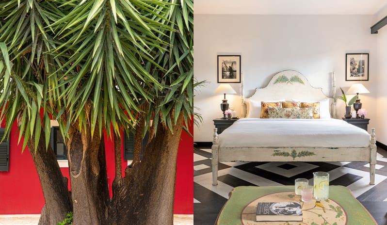 Country Studio at Yuccas Residence sharing Pool Diptyque image of a lush green palm tree next to a vibrant red building exterior, paired with a country-style hotel room featuring geometric flooring at Grecotel LUXME Costa Botanica by Kenwood Travel