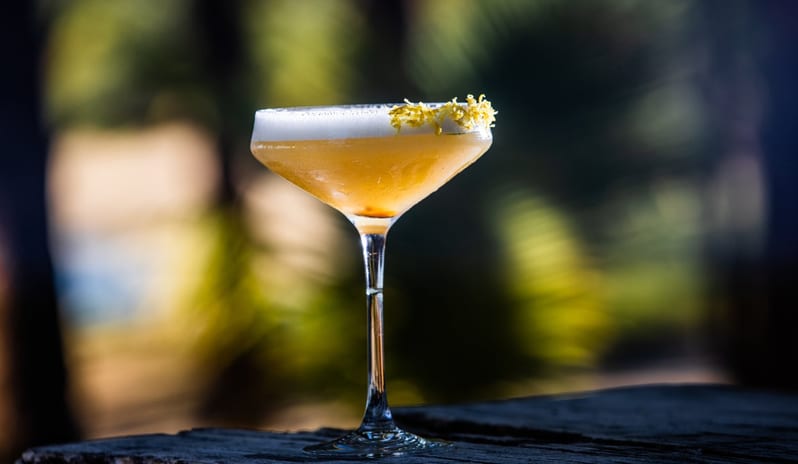 La Playa Bar A refreshing craft citrus cocktail in a stemmed glass against a beautifully blurred, sunlit green outdoor background at Shandrani for 2 by Kenwood Travel