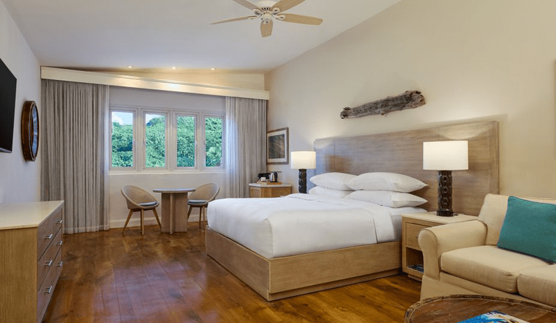 Standard, All Inclusive, Guest Room, 1 King, Sofa Bed
