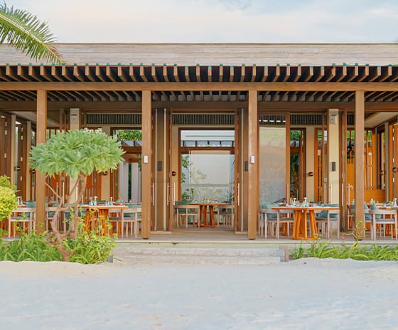 Ocean Modern wooden pavilion restaurant on a white sand beach featuring open-air dining and tropical greenery under a bright sky at Kuda Villingili Resort Maldives by Kenwood Travel