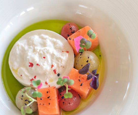 Ocean Contemporary plated appetizer with creamy burrata, citrus-cured salmon cubes, and infused basil oil in a shallow white porcelain dish at Kuda Villingili Resort Maldives by Kenwood Travel