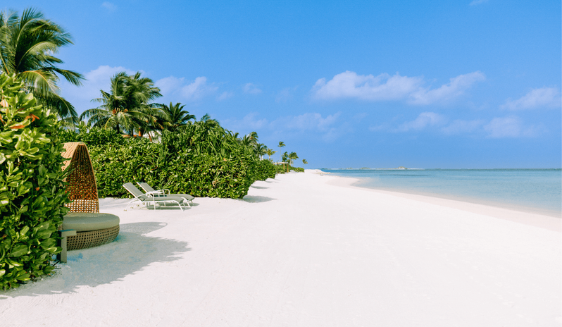 Sunrise Beach Villa with Private Pool Pristine white sand beach at a luxury resort with palm trees, wicker sun pods, and lounge chairs under a clear blue sky at Kuda Villingili Resort Maldives by Kenwood Travel