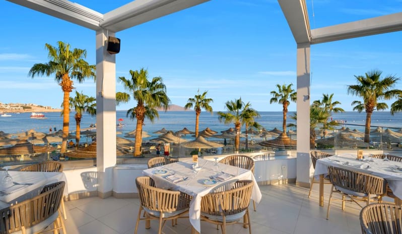 AdSeafood Island Outdoor dining terrace at a luxury beachfront resort overlooking palm trees and the ocean at Royal Savoy Sharm El Sheikh by Kenwood Travel