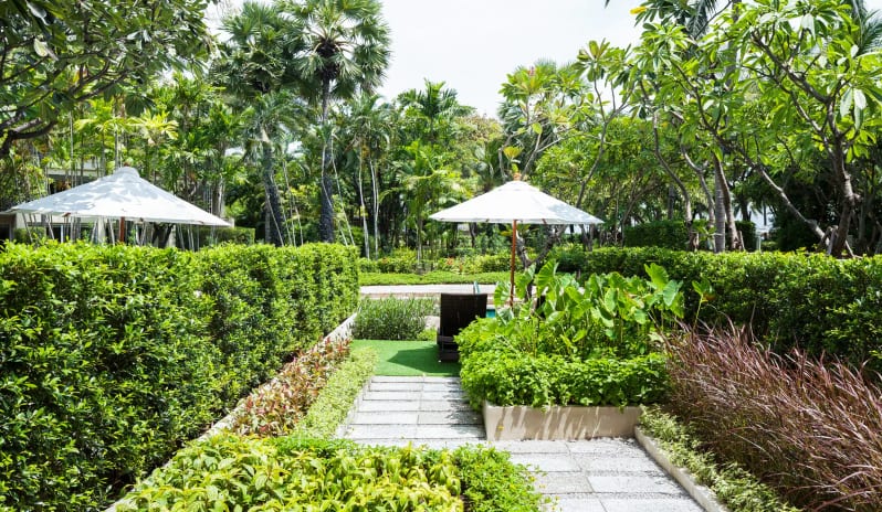 Hyatt Regency Hua Hin - Deluxe Pool Access Room