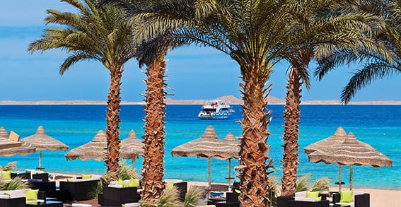 Palm Beach Bar Palm trees and ocean views from the outdoor seating area at Baron Resort Sharm El Sheikh by Kenwood Travel