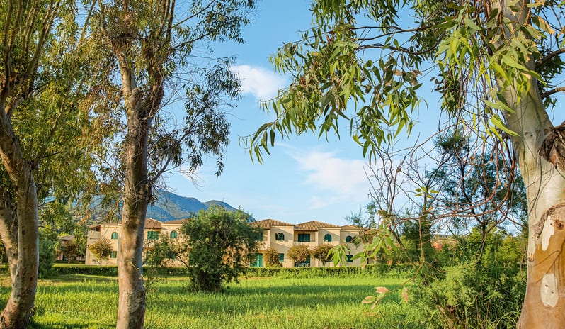 Botanica Bungalow Shaded Veranda Lush green resort grounds surrounded by leafy eucalyptus trees with distant mountains under a bright sunny skyat Grecotel LUXME Costa Botanica by Kenwood Travel