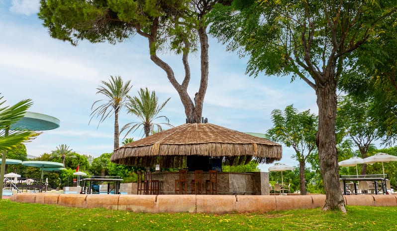 Pool Bar Tropical poolside resort bar with a straw umbrella roof built around a tree trunk next to a green lawn at Gloria Verde by Kenwood Travel