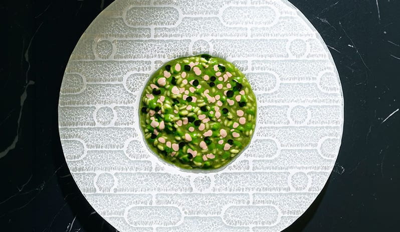 Harry’s Piccolo Poreč Gourmet green herb risotto on a textured plate at Pical Resort, Valamar Collection by Kenwood Travel