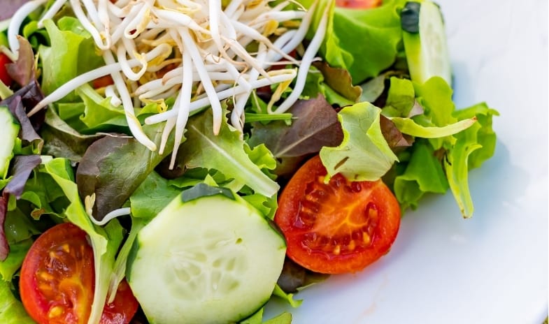Sky Lounge A bowl of fresh garden salad featuring crisp lettuce, cherry tomatoes, cucumbers, and bean sprouts at ARIA Retreat & SPA by Kenwood Travel