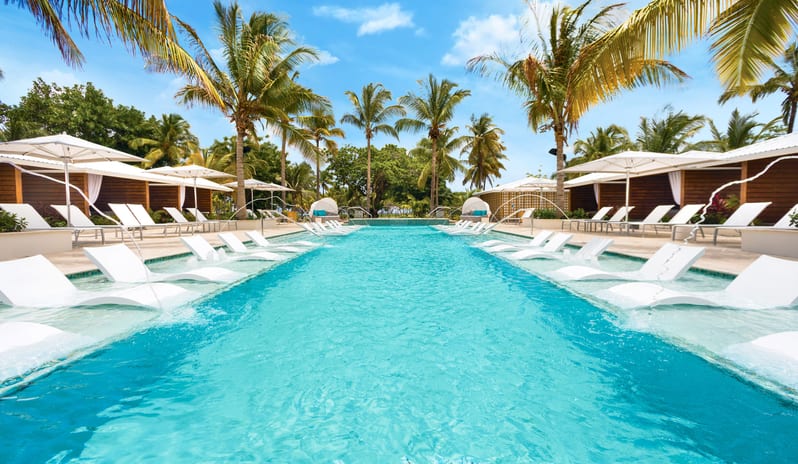 Serenity Pool Palm