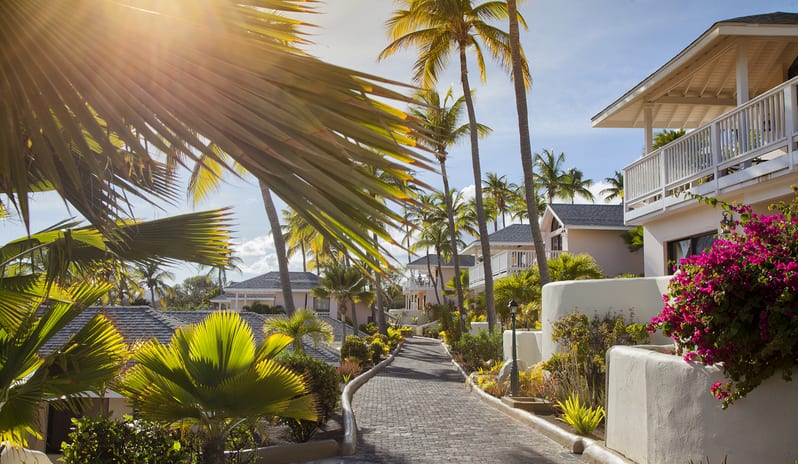 Two Bedroom Villa Stone pathway winding through tropical resort villas surrounded by tall palm trees, vibrant pink bougainvillea flowers, and bright sunshine at St James’s Club & Villas by Kenwood Travel