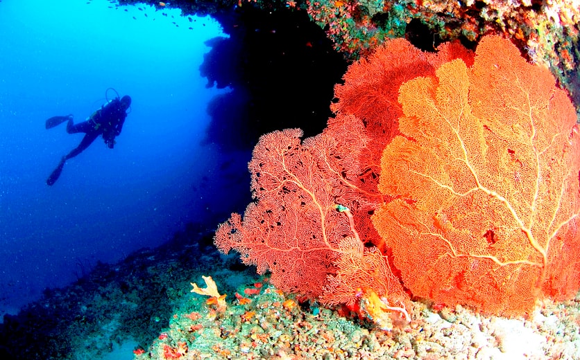 Anantara Veli Maldives Resort-Diving.jpg