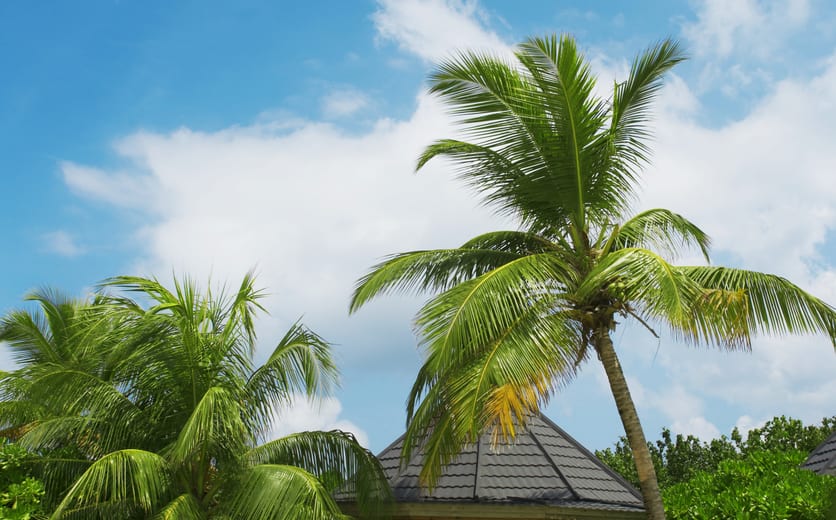 Kuredu Island Resort & Spa-Lounging On Beach.jpg