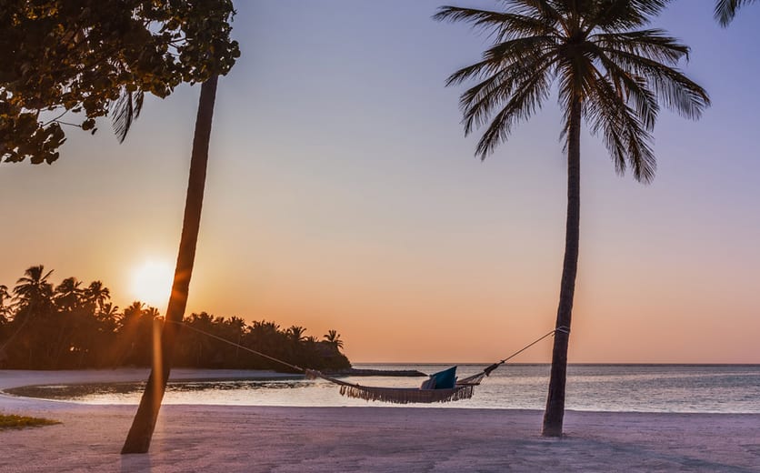 One & Only Reethi Rah-Palm Trees.jpg