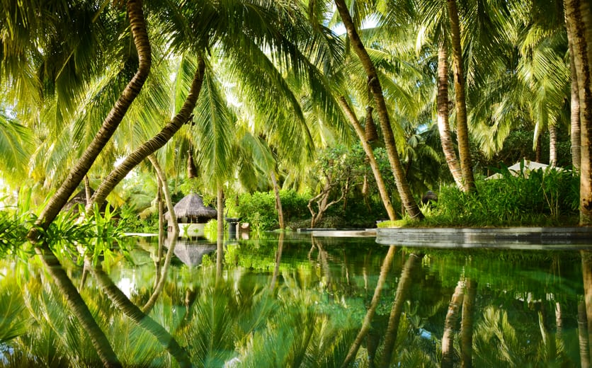 One & Only Reethi Rah-Pool Reflection.jpg