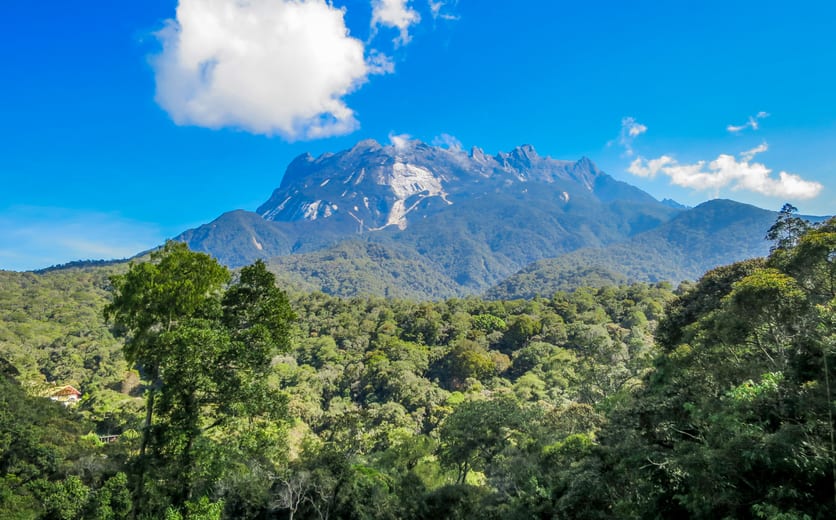 Kinabalu National Park.jpg