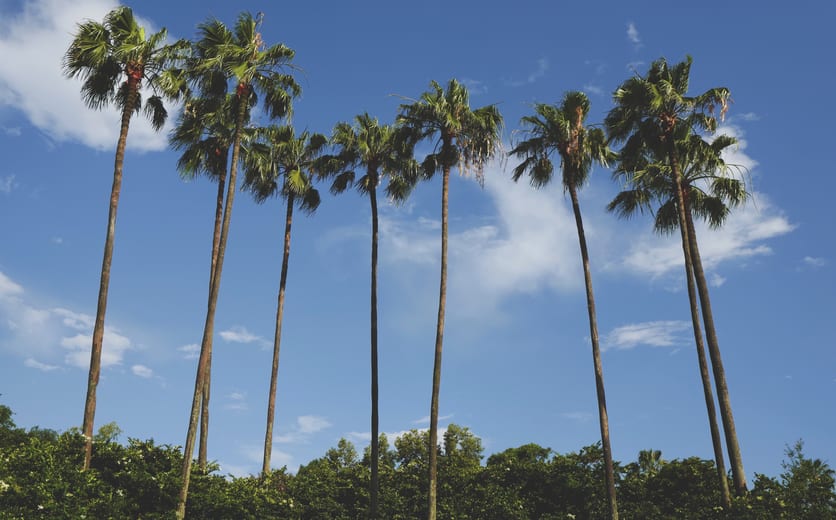 Epcot, Orlando, United States.jpg