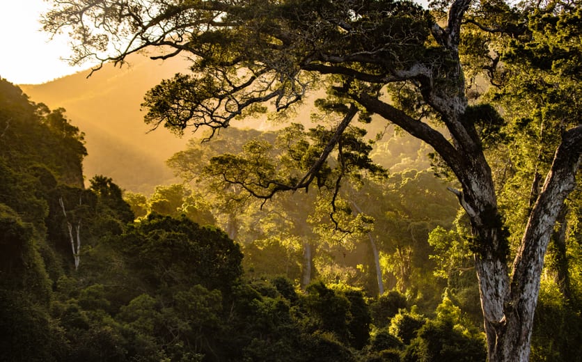 he sun sets over Nature Valley in South Africa.jpg