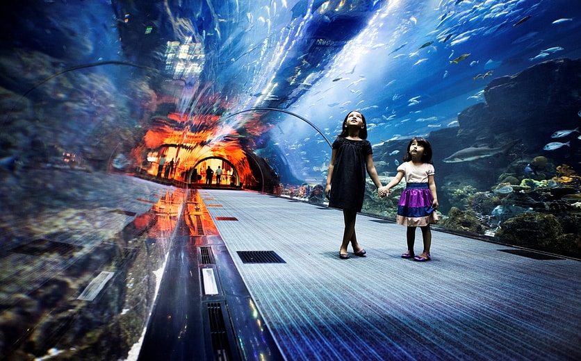 FAMILY - DUBAI AQUARUIM.jpg