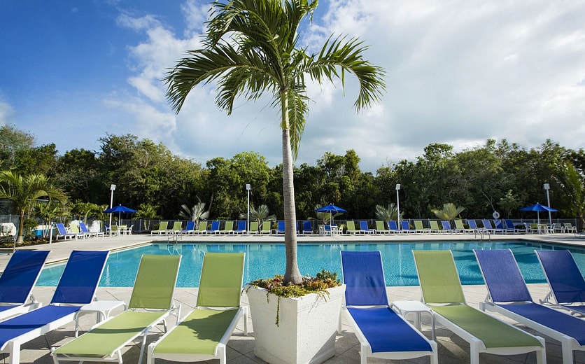 Hero Pool Beds_001.jpg