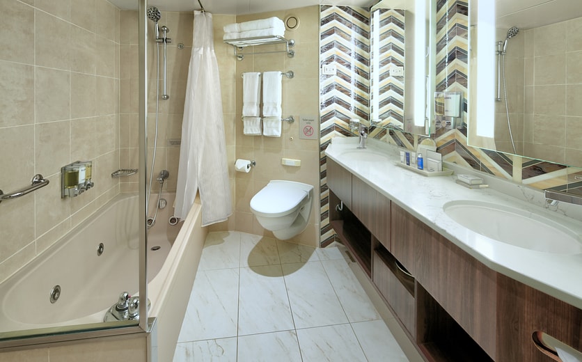 Neptune Suite Bathroom .jpg