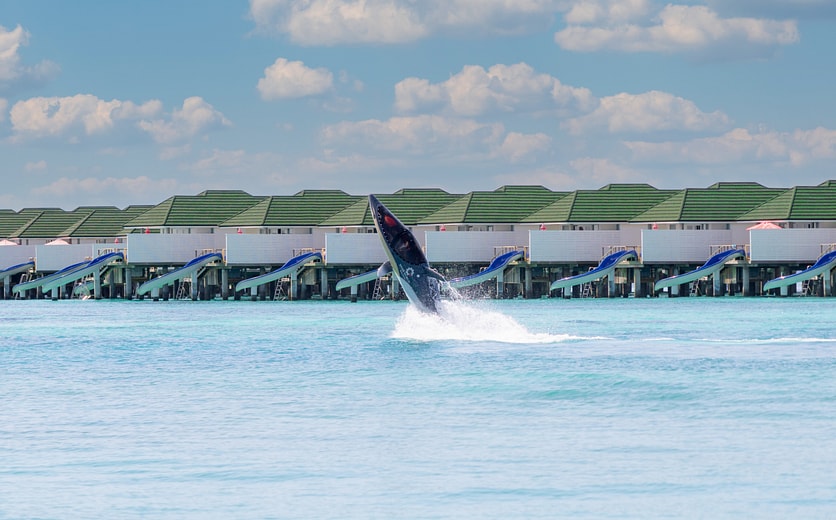 56. Seabreacher 2-Edited.jpg