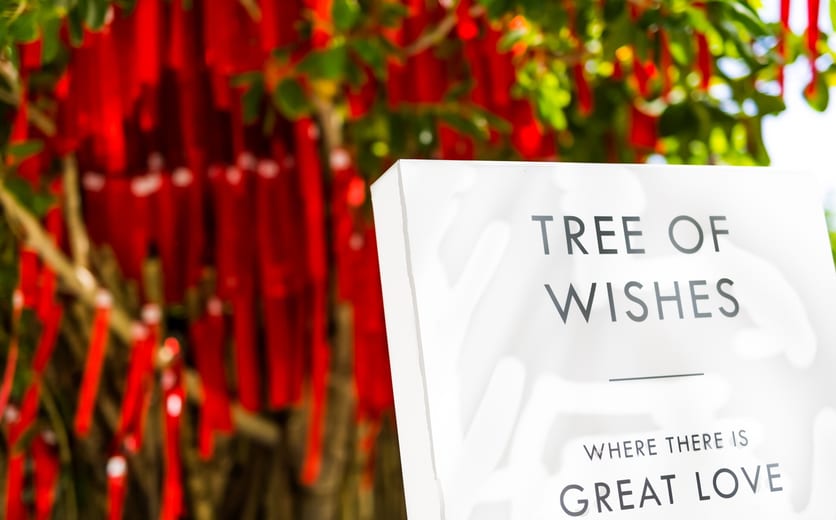 Tree-of-Wishes-1863x1242.jpg