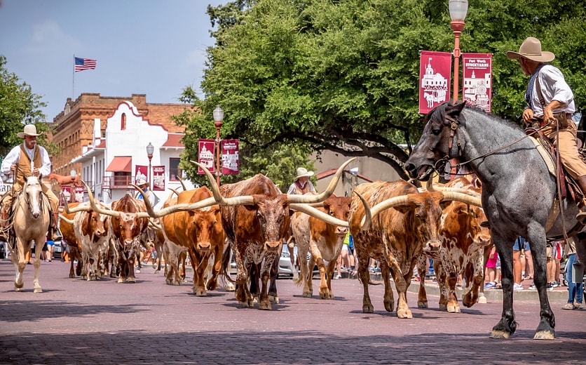 Fort Worth Stockyards_002.jpg