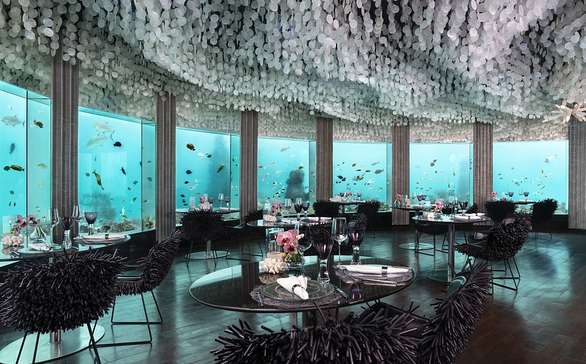 5aa- Subsix_Underwater_Restaurant_Niyama_Private_Islands_Maldives.jpg