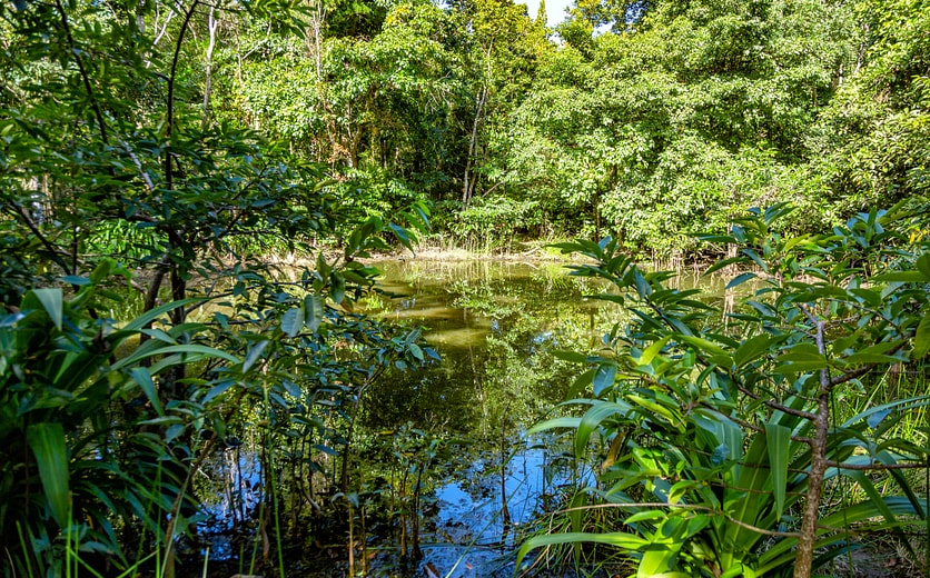 Îles des Saintes - les-des-Saintes-Guadeloupe_156.jpg