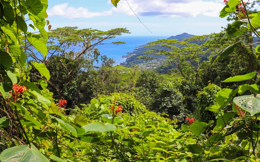 Amirantes Islands - Amirantes-Islands-Seychelles_77.jpg