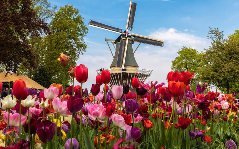 Amsterdam - NL_Keukenhof_02.jpg