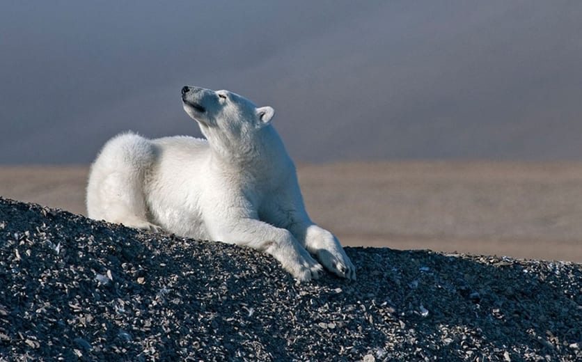Beechey Island, Nunavut - Beechey-Island-Nunavut-Canada_229.jpg