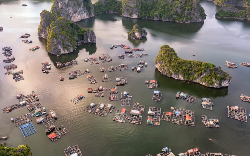 Cái Bè - C-i-B-Vietnam_337.jpg