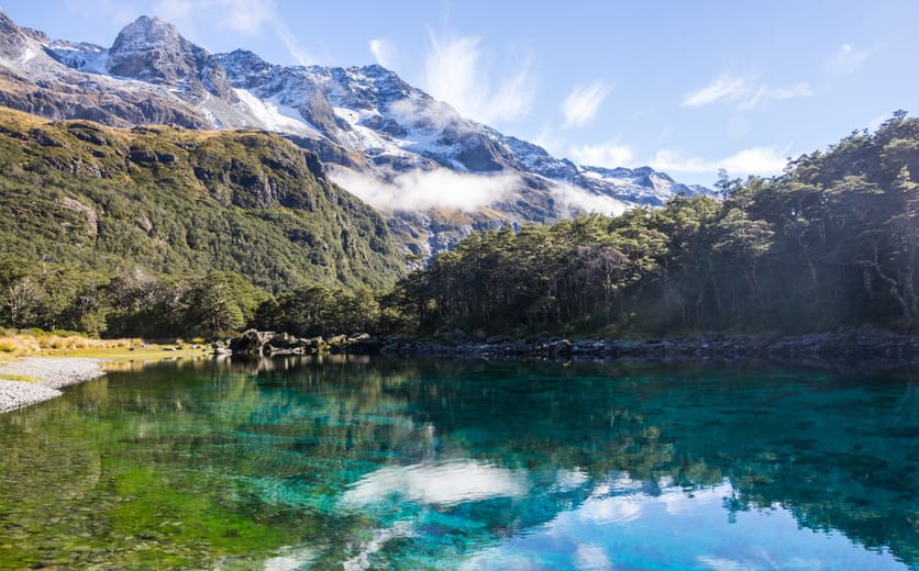 Nelson - Nelson-New-Zealand_1450.jpg