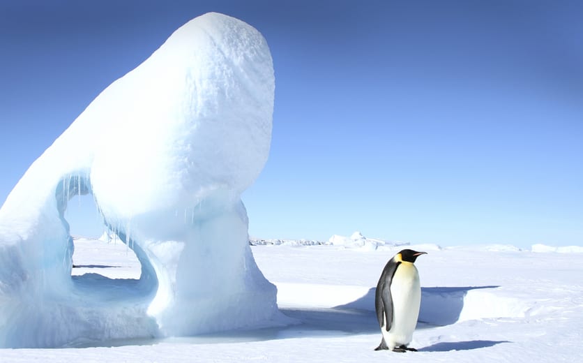 Antarctica Cruises
