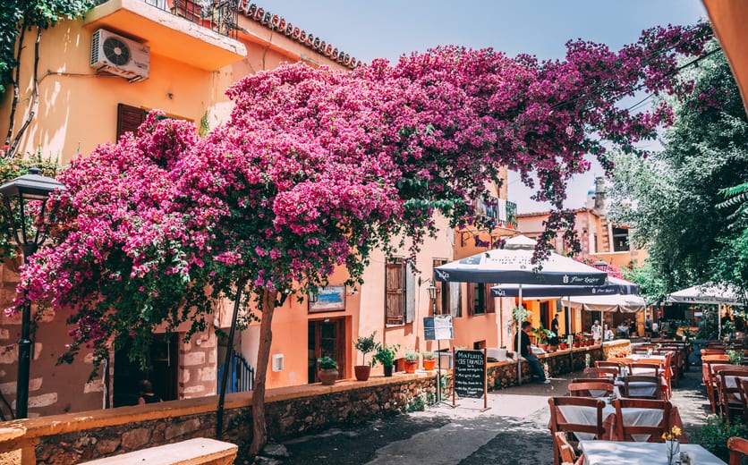 Khania - AZA_Chania_6.24.19_20190624_IMG_1353.jpg