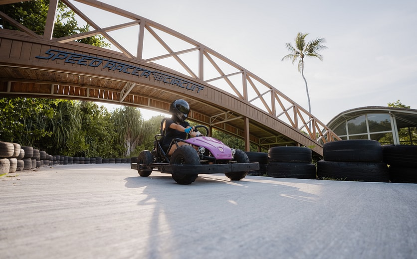 sw-gocart-1.jpg