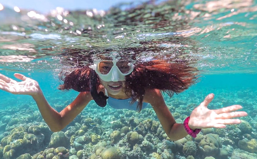 ccm-snorkeling-house-reef-6.jpg